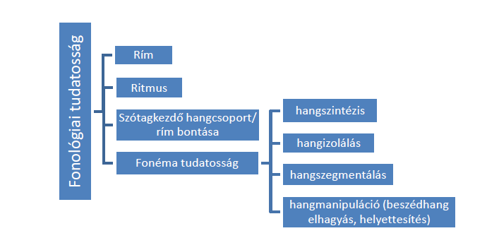 Daly et al. (2005) bonyolultsági szempontból sorba rendezték a fonológiai képességeket (4. ábra).