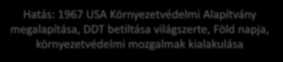 Rádöbbenés korszaka Az 1960-as évekig a tudomány és a technika rohamos fejlődése soha nem látott jólétet hozott.