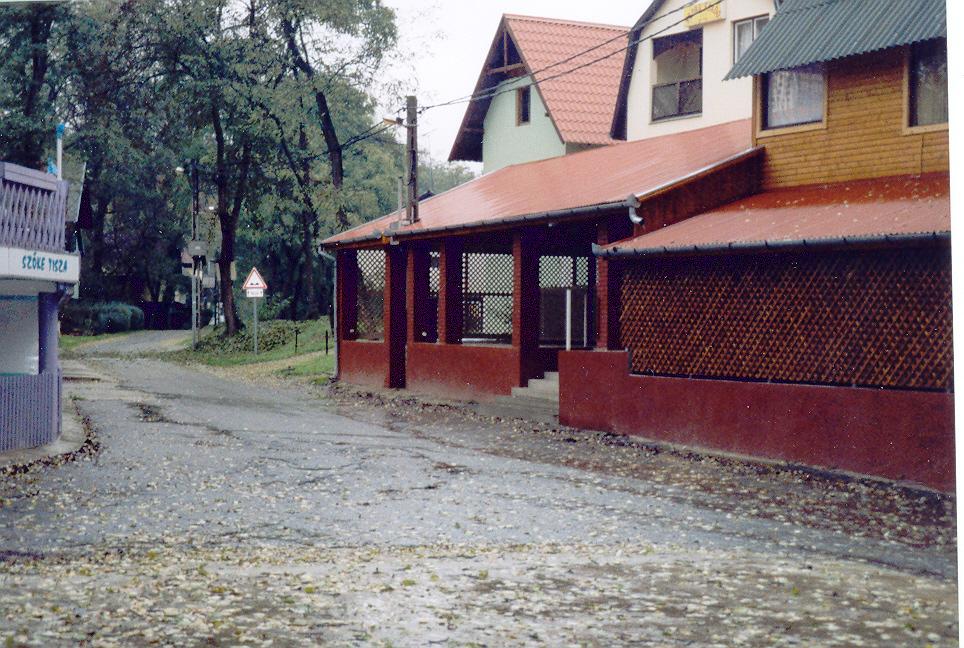 Sűrű aljnövényzet Szűkület üdülővel Üdülő A lábak