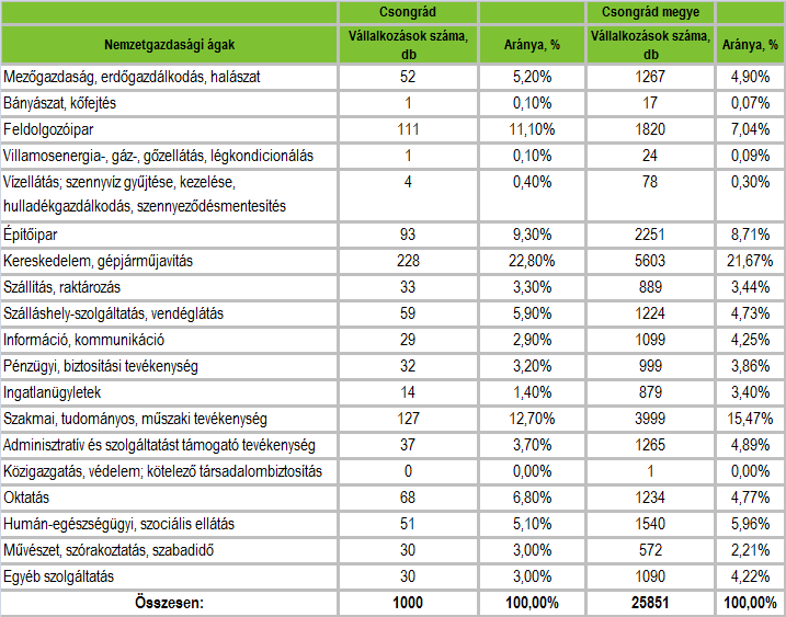 HELYZETFELTÁRÓ- HELYZETELEMZŐ - HELYZETÉRTÉKELŐ MUNKARÉSZEK 75 Ágazati szerkezet szerinti súly terén kissé felülreprezentáltak Csongrádon.