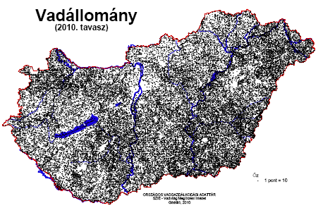 Magyarországon az utolsó jégkorszak után jelent meg. A XVII. századtól említik rendszeresen vadászott fajként.