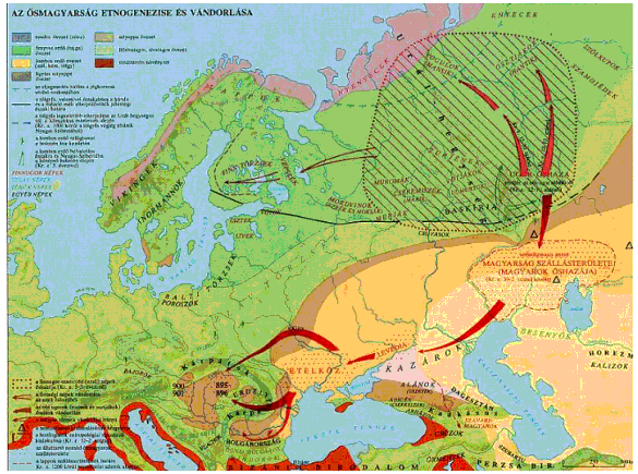 3. A nyelvrokonság megállapítása: összehasonlító nyelvtudomány régészet, néprajz, növényföldrajz, történettudomány 4.