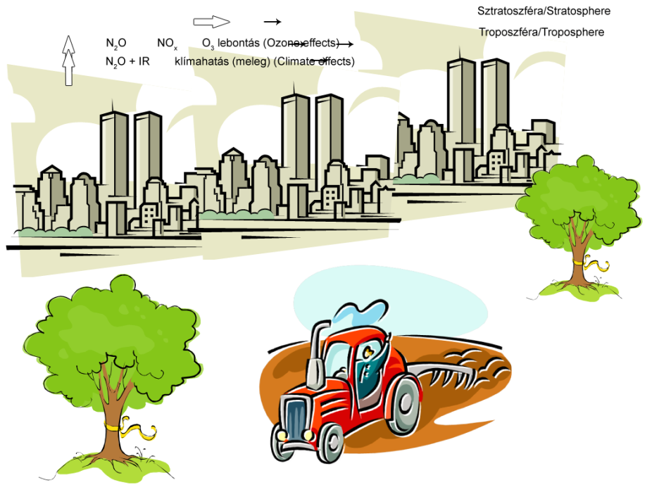 1. ábra: A N2O forrásai és hatásai Fig. 1: The sources and effects of N2O (cit.