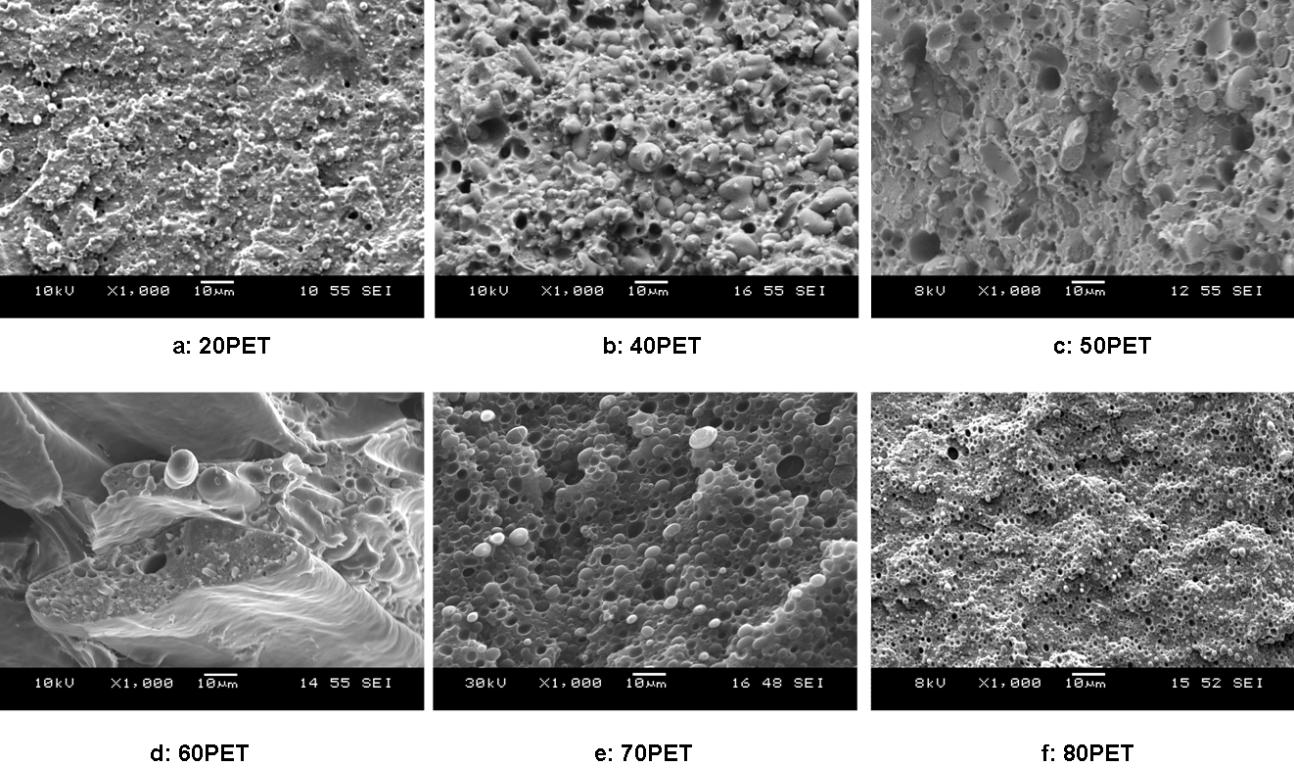 ábrán megfigyelhető, hogy a háló kötegei lemezekké olvadnak össze. A 3/e és a 3/f ábrán már a PET alkot összefüggő mátrixot, amelyben a PE cseppek gömb alakban oszlanak el.