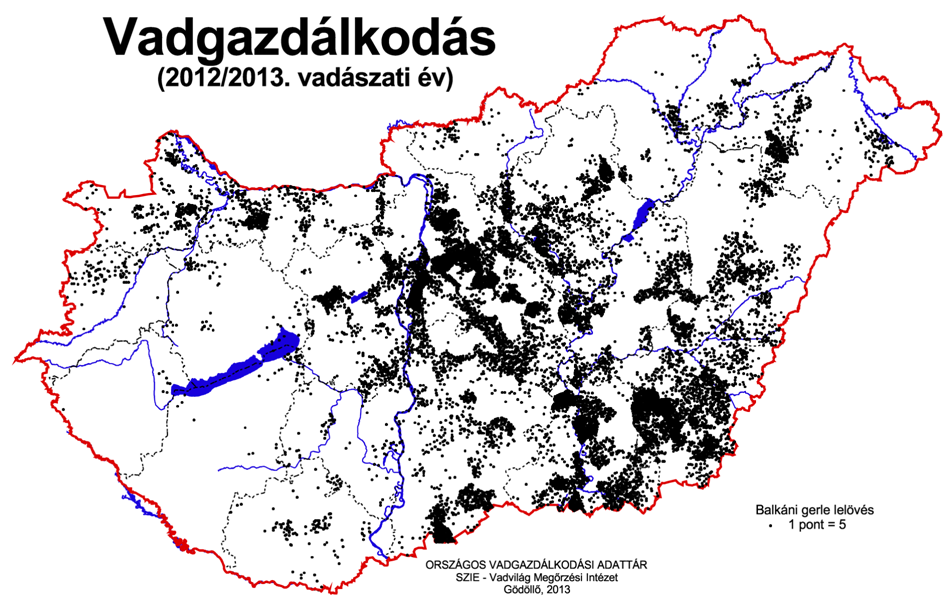 Élőhely - fészkelőhely egyes populációk kimondottan emberi településekre specializálódtak; mg-i területeken, erdőszéleken, galériaerdőkben, parkokban; laza fészkét fákra építi - de városokban