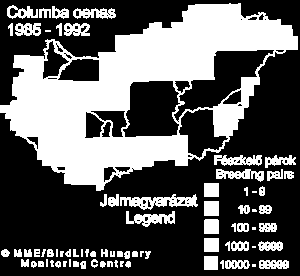 Rend: Galambalakúak Család: Galambfélék Faj: Kék galamb (Columba oenas) Vadászhatóság: védett Felismerés kisebb (32 cm) és sötétebb, mint az örvösgalamb, szárnyán és nyakán nincs fehér folt;