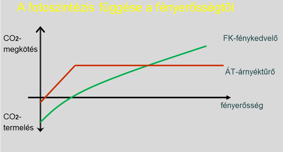 2. részecske: fotonok, fotoszintézisben a spektrum más-más tartományai lehetnek hatással a vizsgált objektumra (5. ábra). 6.