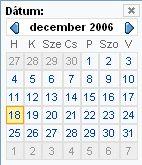 Dátum felület. A dátum mezőhöz tartozó felület. Be lehet rajta állítani a dátumot, majd a mezőből kikattintva a rendszer behelyezi azt., Jelölő négyzet. Lapozó.