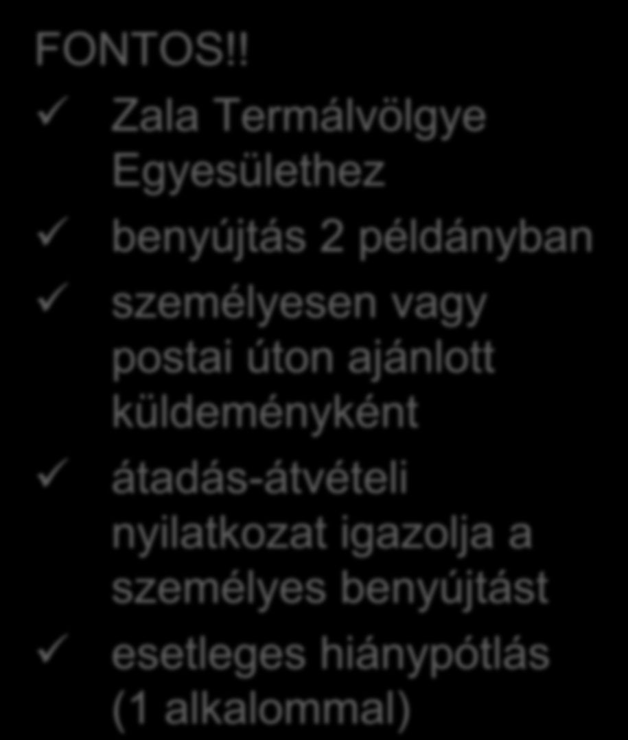 Projektjavaslat benyújtása: Az EMVA társfinanszírozású intézkedések irányító hatóságának 45/2013. számú (V. 29.) közleménye LEADER Intézkedési Terv közzétételétől folyamatosan FONTOS!