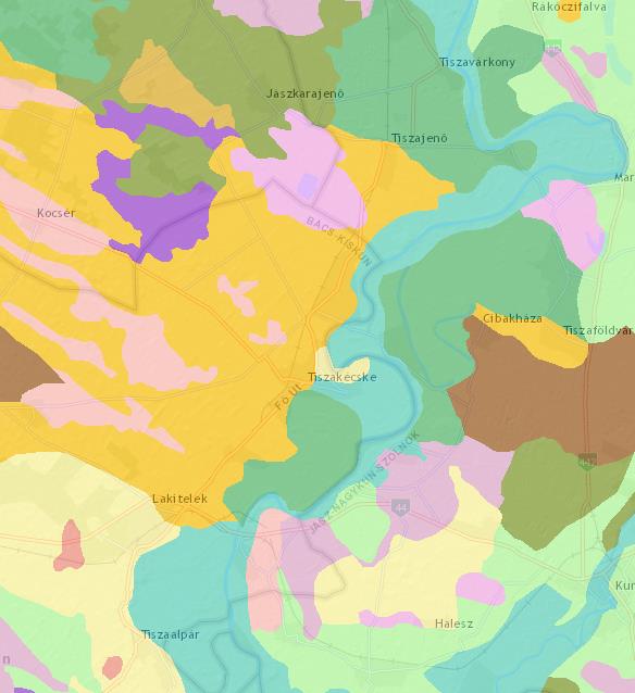térkép: Tiszakécske és környékének jellemző talajtípusai Forrás: Természetvédelmi Információs Rendszer 20