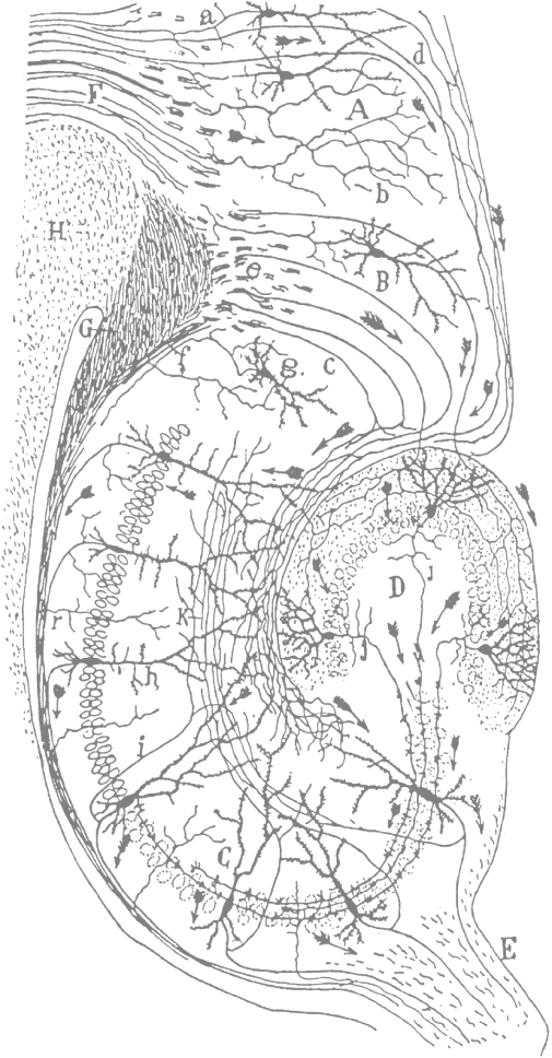 microscopy?