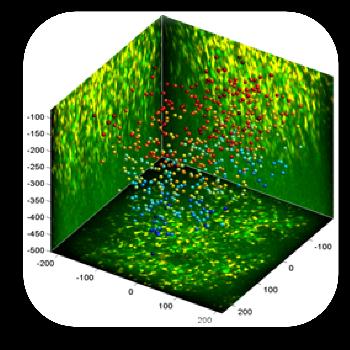 Combined 2P and confocal FEMTO 2D FEMTO 3D-AO FLIM and