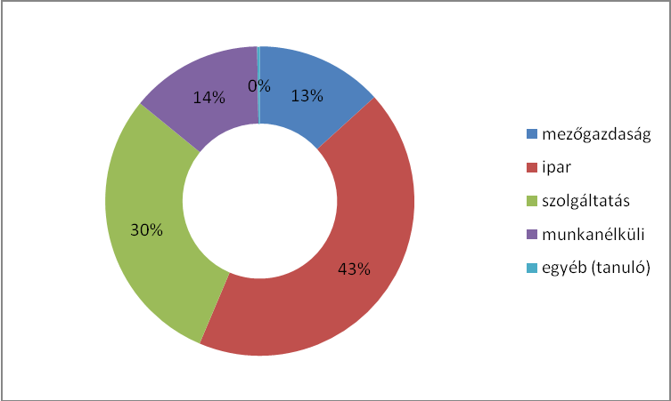 33. ábra: Dél-Mátra 11- szektor szerinti megoszlás (%) Forrás: saját szerkesztés a kérdőívek alapján A válaszadók többsége az iparban (43%) és a szolgáltatásban (30%) dolgozik.