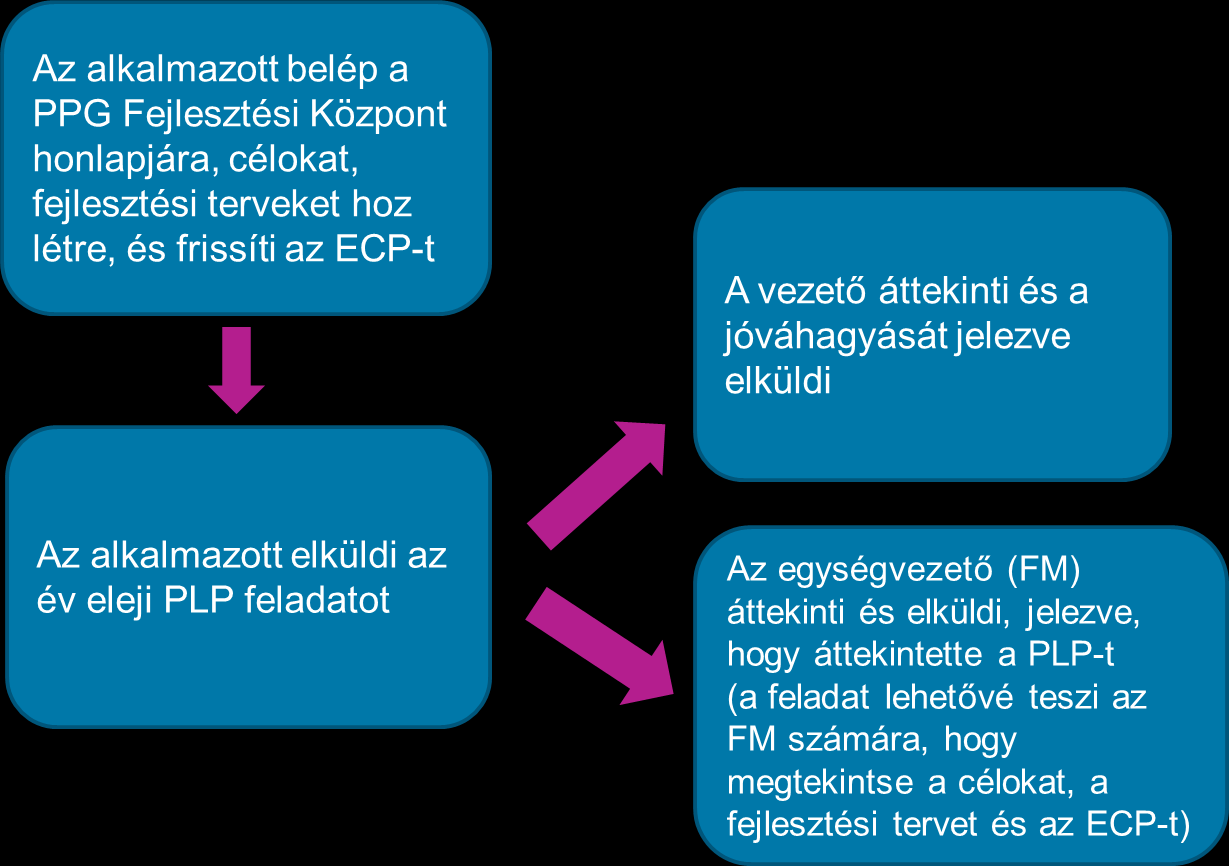 A PLP-folyamat menetének