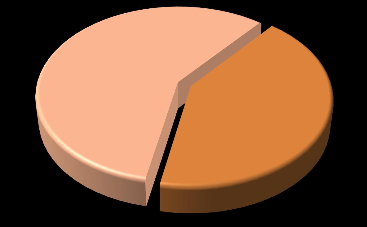 (%) nem dolgozik, NV; 43,2 teljes munkaidőben; 39,6