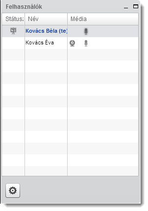 8. ábra A Felhasználók ablak 6.2 WEBKAMERÁK ABLAK: Ebben az ablakban jelenik meg a bekapcsolt webkamerával rendelkező felhasználók videó képe.