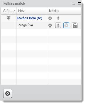 aktív a mikrofonja. Az első oszlopban látható Vetítővászon ikon különbözteti meg a többiektől a tanári szerepkörben lévő felhasználót. 19.