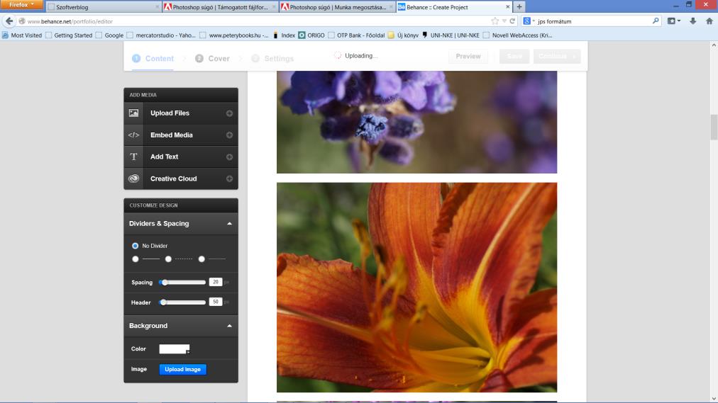 Bejelentkezés a Behance