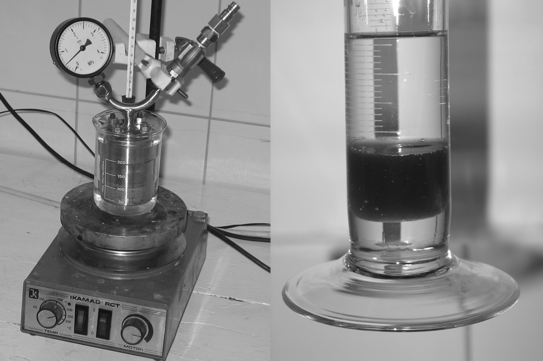 termékek egy jellemzı kromatogramja látható a 3. ábrán. 2. ábra. A kísérleti berendezés (balra) és a reakció után szétváló fázisok (jobbra) 2.2. Felhasznált anyagok Az ipari alkalmazást is feltételezve kıolajfinomítói FCC benzin alapanyagot használtunk fel a kísérleteink során.
