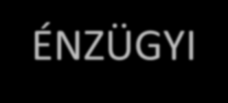 PÉNZÜGYI HASZON 24 millió dollár megtakarítás 2002-ben egyetlen