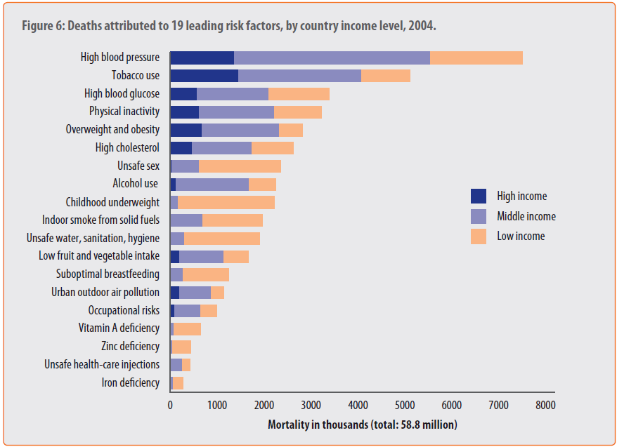 Global health risks: mortality and burden of