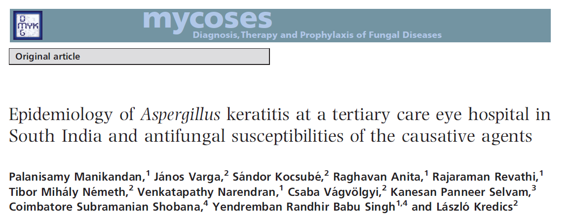 Aspergillus keratitisz Szaruhártya-fekély Epidemiológia: 200 izolátum predomináns: A. flavus (75%) A. fumigatus (11.5%) férfi:nő arány 1.