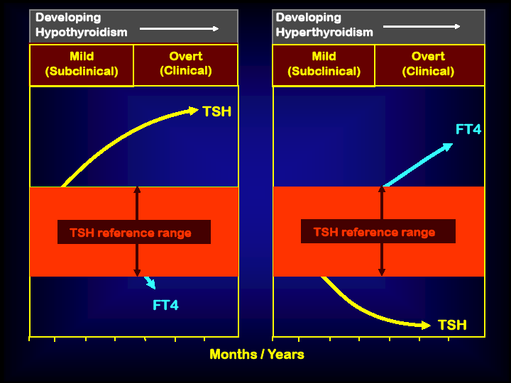 TSH a legkorábban jelez: különösen kritikus a cut off-érték az enyhe diszfunkciók felismerésekor Hypothyreosis kialakulása Hypethyreosis kialakulása Subklinikus