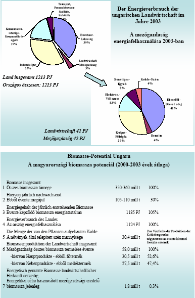 4. A mezıgazdaság energiafelhasználása 2003-ban 5.