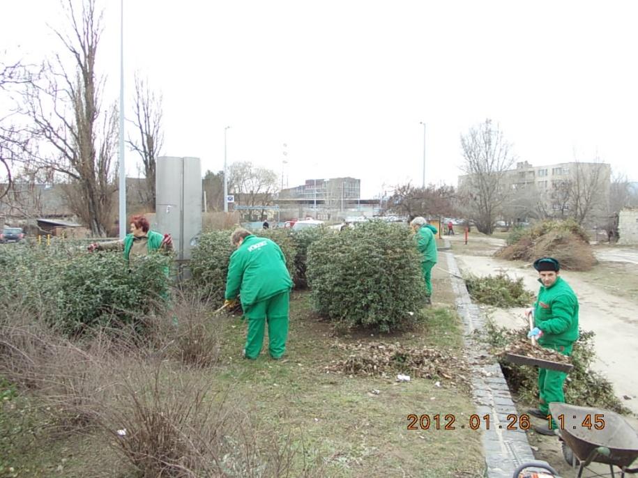 Január Januárban a Mozgó Parkfenntartó egység az Etele tér elöregedett cserjeállomány visszaifjítási feladatait látta el A parkokban folytak a hó és síkosság mentesítési, takarítási