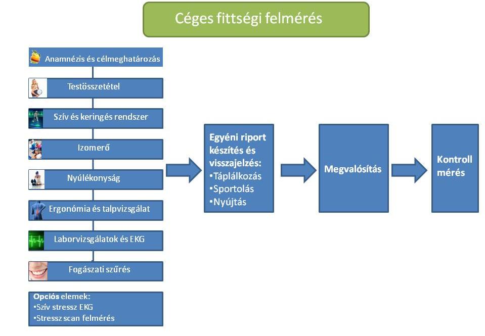 Céges fittségi felmérés Egyedülálló munkahelyi egészség-felmérési csomag. Cég telephelyén végezzük, nem esik ki a munkavállaló sok időre a munkából.