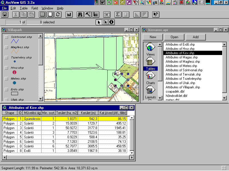 11. ábra Villapark lakóterület térképi megjelenítése és a hozzátartozó attributív adatállományok A táblán belüli nyolc táblarész beazonosítása a kataszteri térkép, az 1999-es légifotó és a terület
