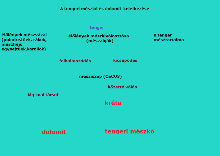 sósav vagy ecetsav (10%) Munka menete: Az előtted lévő kőzetekből próbáld meg kiválasztani a mészkövet!