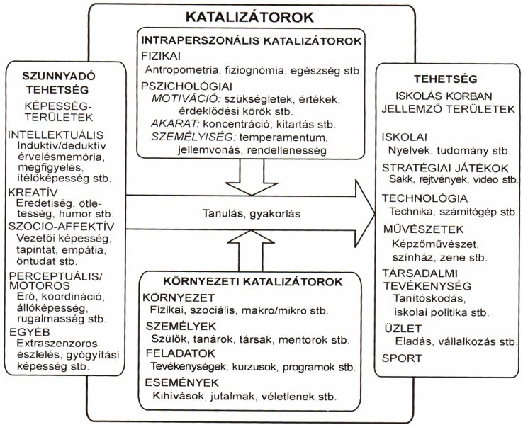 3. ábra: Gagné DGMT modellje (átvéve: Turmezeyné Balogh, 2009, 26.o.) Havlicek, Komadel, Komarik és Simkova (van Rossum Gagné, 1994) csehszlovák tehetség-kiválasztási modelljében a sporttehetség multidimenzionális természete kap hangsúlyt.