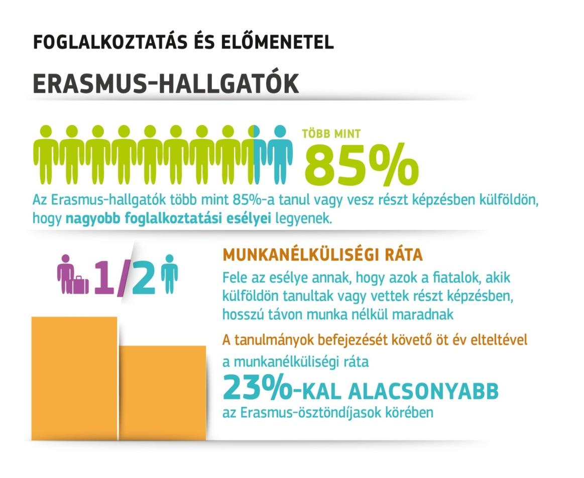 A munkáltatók véleménye, munkaerő-piaci Erasmus + gyakornokok kilátások Diplomás Pályakövetési Rendszer 2013: