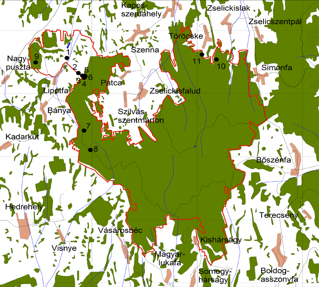 Körtési G. & Molnár T. G.: Kétéltű fauna felmérés 301 1.