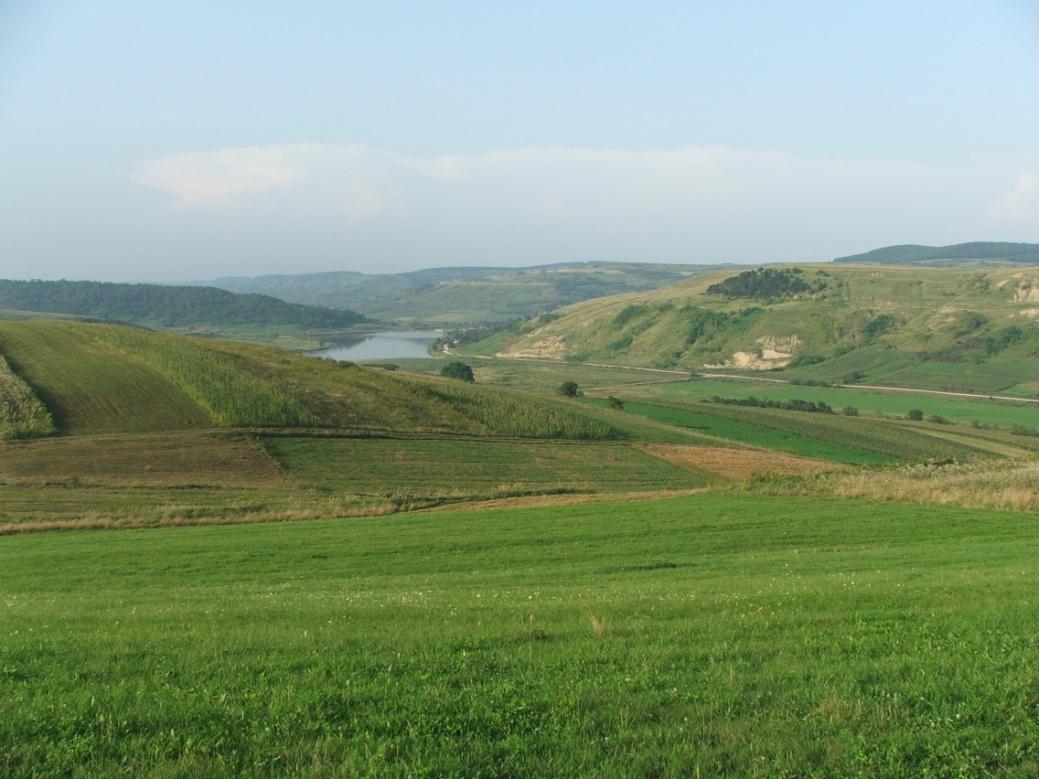 Kopár dombok, völgyek Mezőség lassú folyású erekkel, és tó- meg mocsárfüzérekkel szabdalt alacsony, tengerszint feletti, 300-500 m magasság közt váltakozó, túlnyomóan kopár dombvidék.