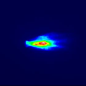 Spatial distribution of the focused 21.