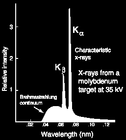 hús, ezáltal a fotolemezt kisebb mértékben feketíti meg. (A csont alkotóelemeinek (CaPO 4 ) rendszáma: Z = 20, 15, 8, az izomszövet alkotóelemeinek ( H, C, N, O ) rendszáma: Z = 1, 6, 7, 8.