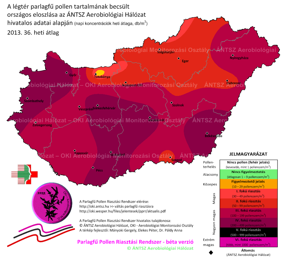 A tények: a 2013-as parlagfű szezonról, a 2011-es és