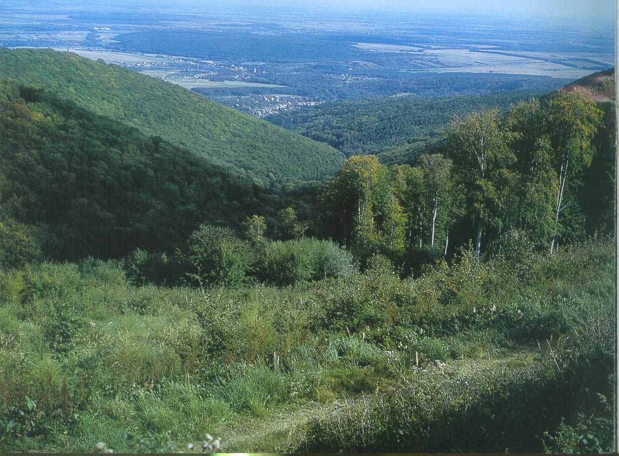 Földrajzi Konferencia, Szeged 2001. Írottkő Natúrpark Hazánk igazi éke ez a sajátos hangulatú és mikroklímájú környezet. Átlagos tengerszint feletti magassága 410-548 m.