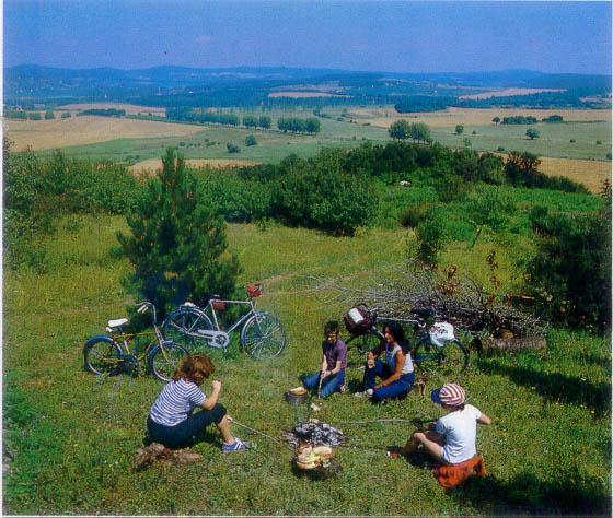 Földrajzi Konferencia, Szeged 2001. Szigetköz A turizmus, mint az utazás és az úti célok megtapasztalása, a gazdaság jelentős ágazata.