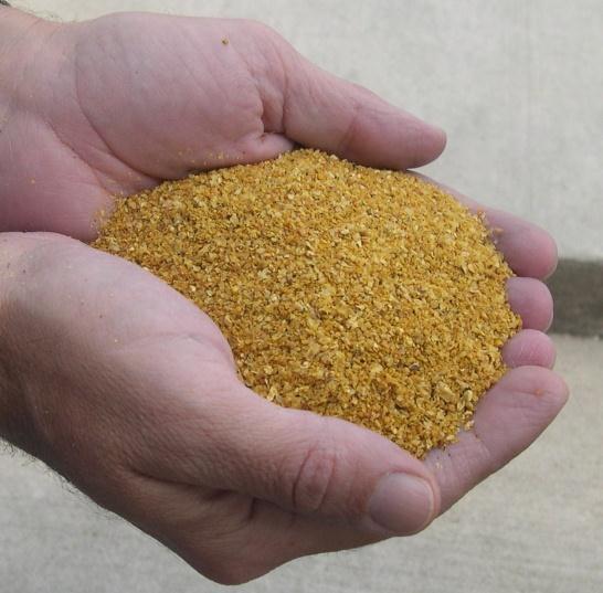 Kukorica DDGS Alkohol gyártási melléktermék, amely alapanyagként kukoricát használnak fel.