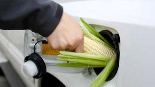 Bioetanol felhasználásának hátrányai Az alacsonyabb fűtőértéke, nagyobb mennyiség elégetésére van szükség, azonos teljesítményhez A kisebb fajlagos energia miatt fogyasztása