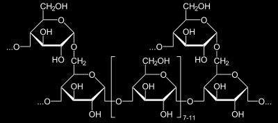 Glikogén molekularészlete A glikogén a glükóz poliszacharidja; funkciója a rövidtávú energiaraktározás az állati sejtekben.