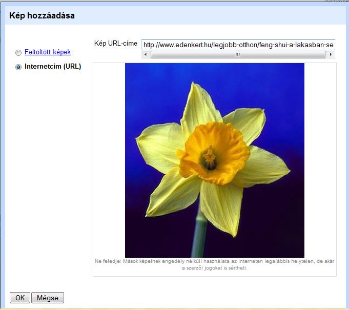 Jobb klikk->beillesztés, ha jó a cím, rögtön meg is fog jelenni a kiválasztott kép. OK gombra kattintva jelenik meg a weboldalon.