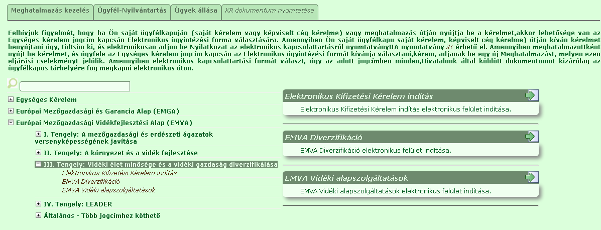 Kérelem kitöltésének megkezdése 1. Mielőtt megkezdi a kitöltést, ellenőrizze hogy a megfelelő személy neve szerepel-e a Képviselt cég vagy személy megnevezést követően.