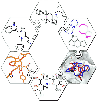 Másodlagos természetes anyagok másodlagos metabolitok Vegyész