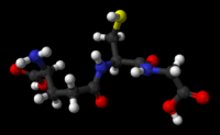 éhány jelentős természetes peptid Glutation: tripeptid, glu-cys-gly, oxidációs-redukciós folyamatok partnere, a szulfidcsoport diszulfiddá oxidálódik.