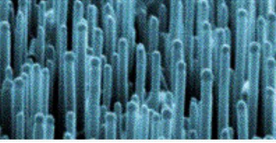 felület szén nanocsövek szilikon