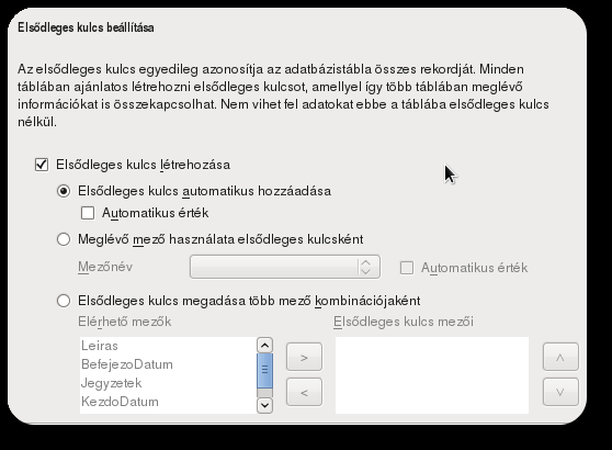 KÉSZEN AZ ÉRETTSÉGIRE Az egyes mezők testreszabása Az egyes táblákat elláthatjuk automatikusan elsődleges kulccsal, de használhatunk meglévő mezőt is elsődleges kulcsként.